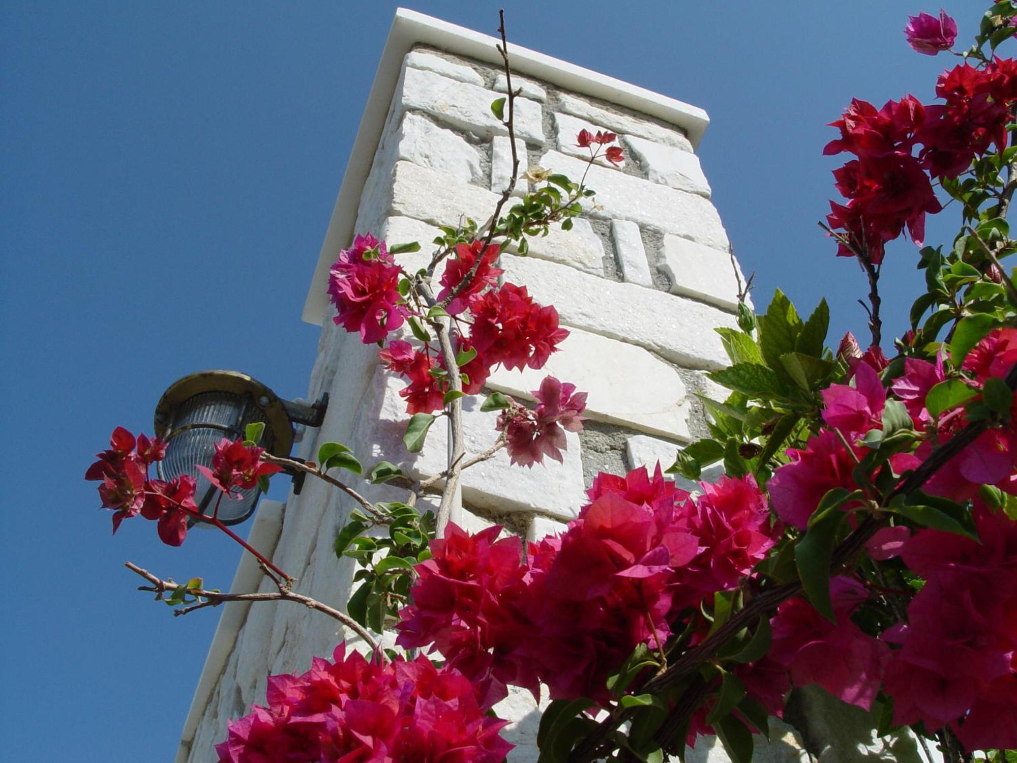 Anna Platanou Hotel Parikia  Exterior photo